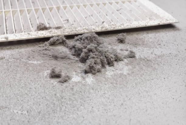 Best Ventilation Cleaning Services  in Montgomery, GA